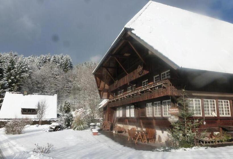 דירת חדר, Rommelehof