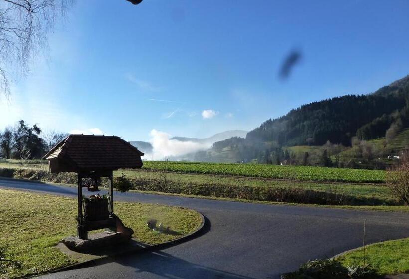 דירת חדר, Rommelehof