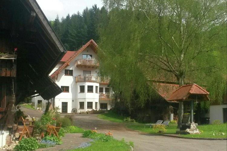 חדר סטנדרט, Rommelehof