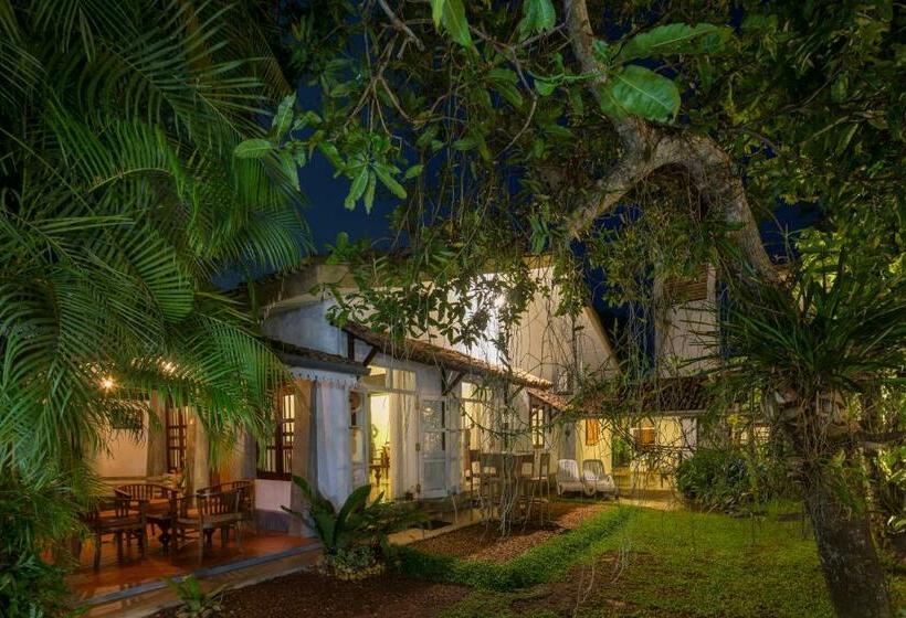 منزل غرفة نوم واحدة, Bilin Tree House