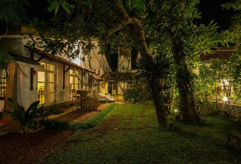 منزل غرفة نوم واحدة, Bilin Tree House