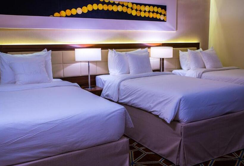 חדר סטנדרט לשלושה, Blue Coral