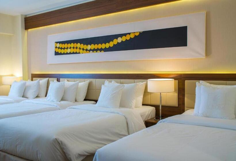 חדר סטנדרט לארבעה, Blue Coral