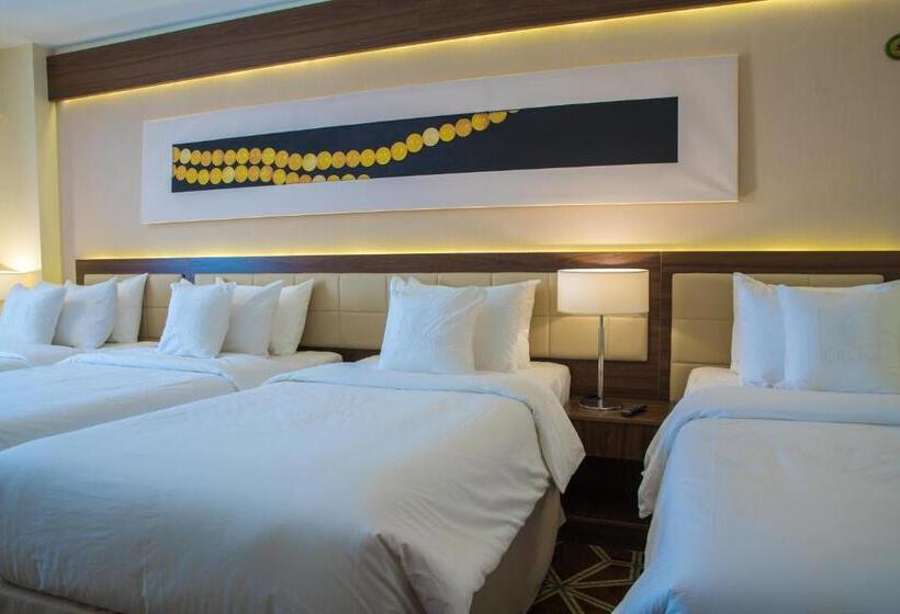 スタンダード4人部屋, Blue Coral