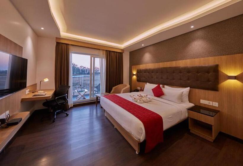 חדר דלוקס, Shivas Galaxy