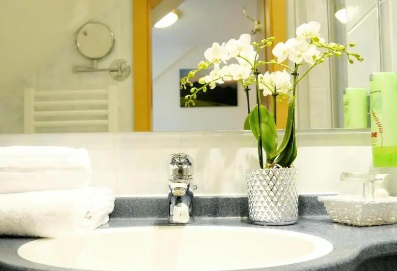 シングルベーシックルーム, Berghotel Zollersteighof