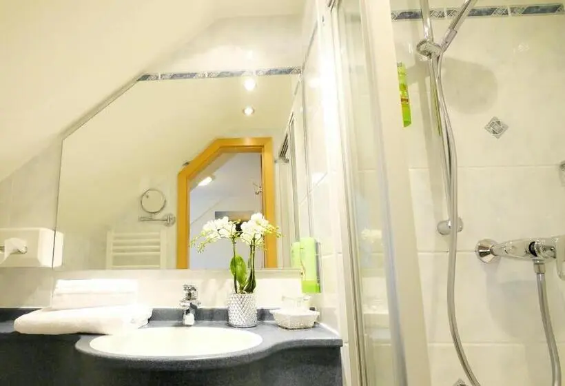 シングルベーシックルーム, Berghotel Zollersteighof