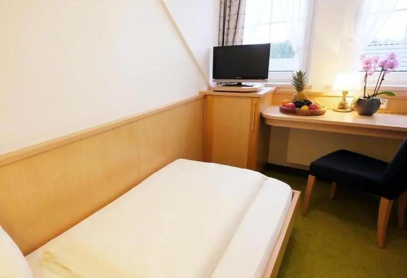 シングルベーシックルーム, Berghotel Zollersteighof