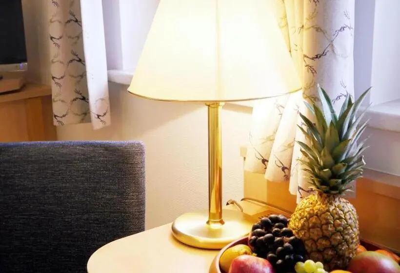 スタンダードシングルルーム, Berghotel Zollersteighof