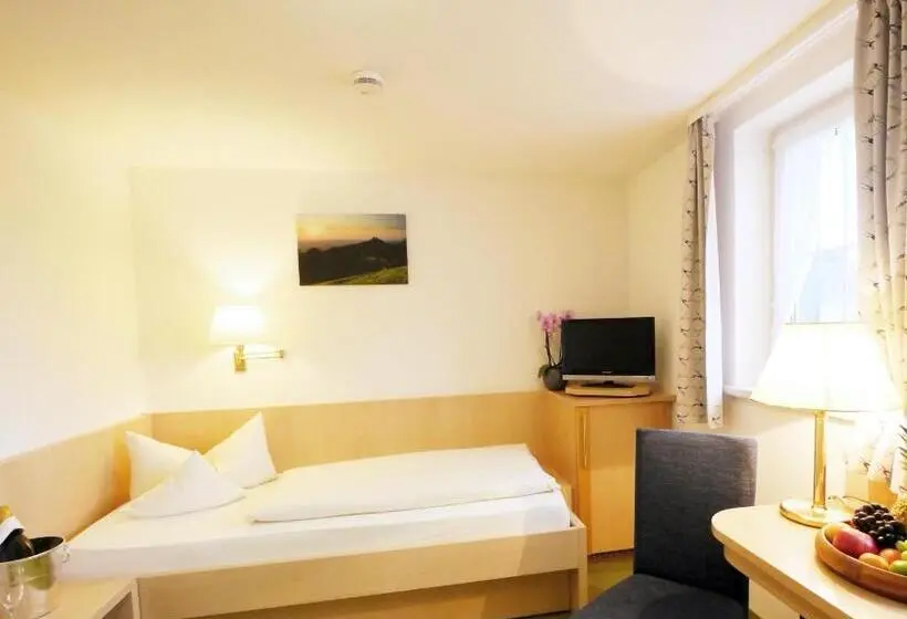 スタンダードシングルルーム, Berghotel Zollersteighof
