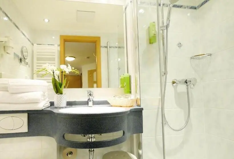 ベーシックルーム, Berghotel Zollersteighof