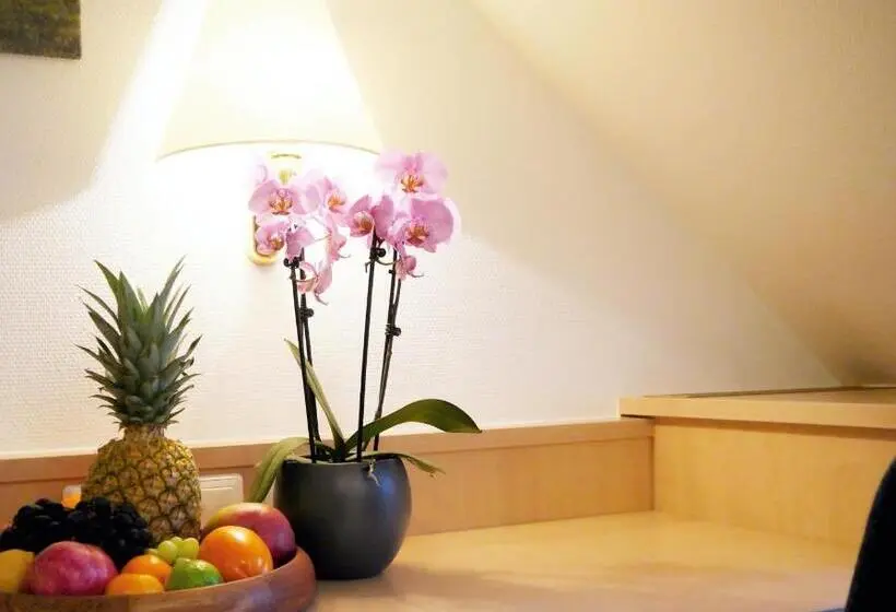 ベーシックルーム, Berghotel Zollersteighof