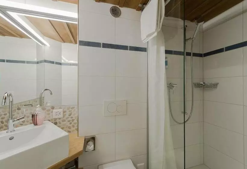 Standard Single Room, Alpenblick Hotel & Restaurant Wilderswil By Interlaken