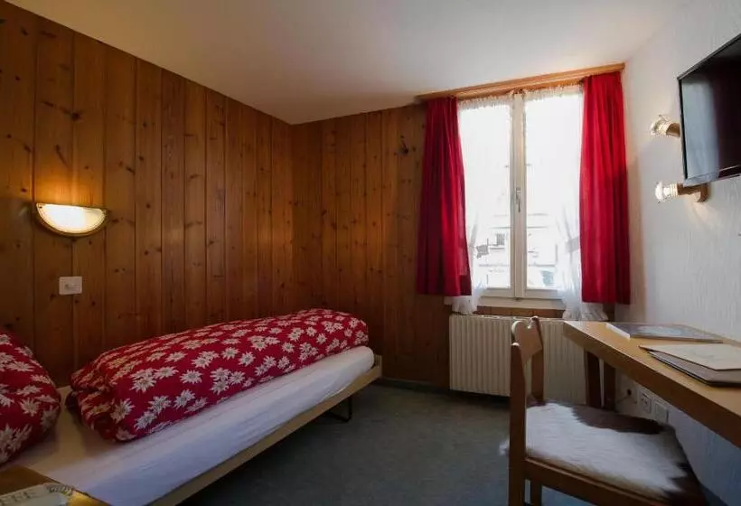 Standard Single Room, Alpenblick Hotel & Restaurant Wilderswil By Interlaken