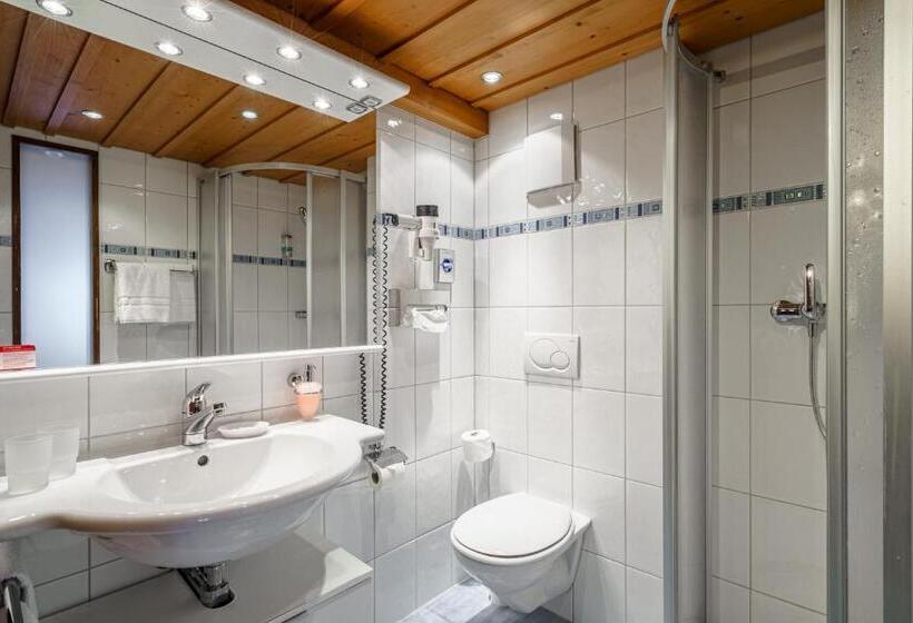 غرفة قياسية, Alpenblick Hotel & Restaurant Wilderswil By Interlaken