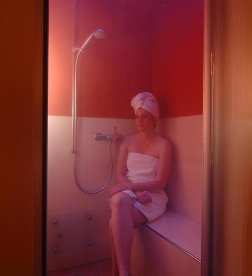 غرفة قياسية, Alpenblick Hotel & Restaurant Wilderswil By Interlaken