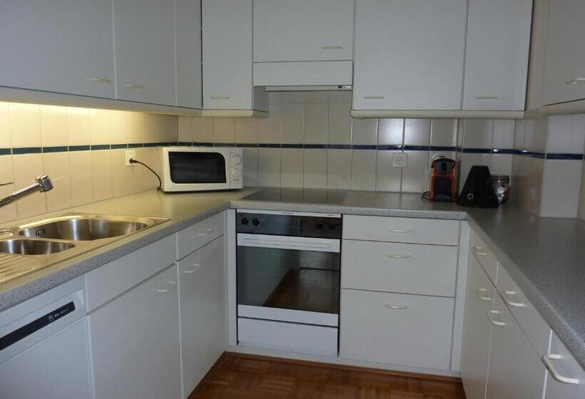 2 Bedrooms Apartment Lake View, Rebstock