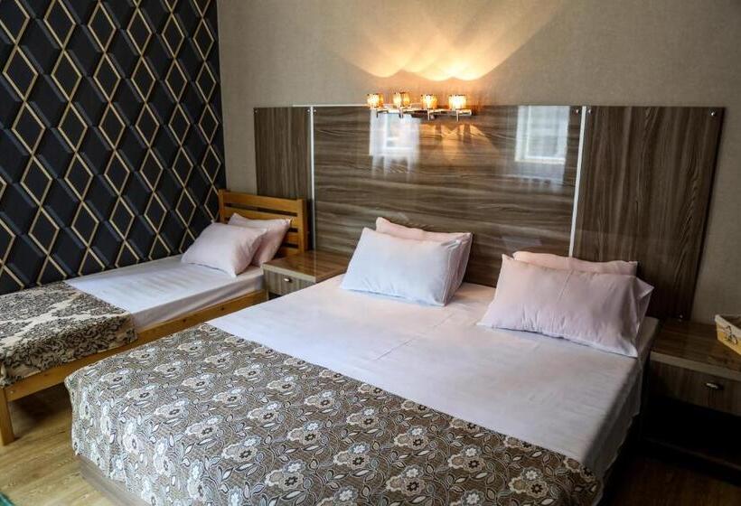 اتاق استاندارد چهار تخته, Borjomi Aisi