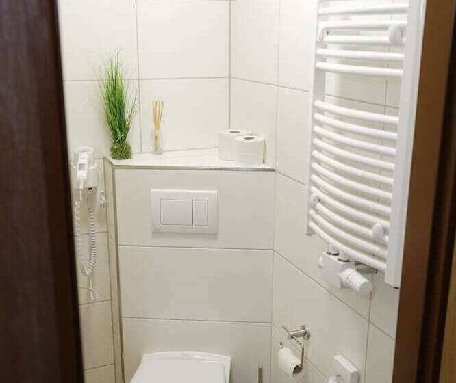 غرفة قياسية فردية, Restaurant Rodizio Paderborn