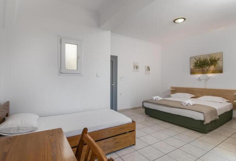 标准间, Olive Studios