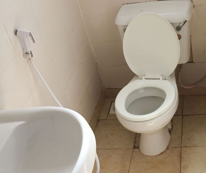 تختخواب در اتاق مشترک, Buddha S Tree Backpackers Adults Only