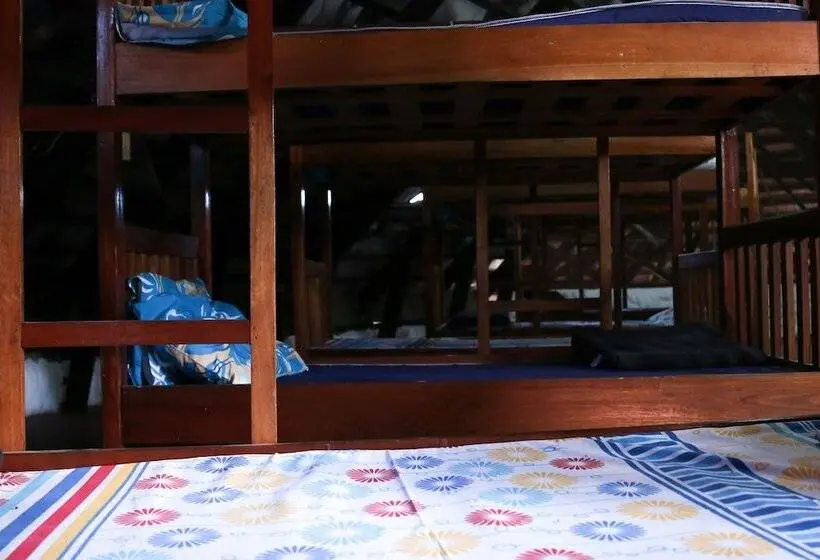 تختخواب در اتاق مشترک, Buddha S Tree Backpackers   Adults Only
