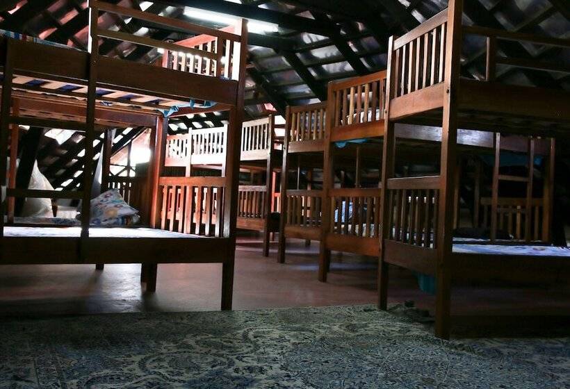 تختخواب در اتاق مشترک, Buddha S Tree Backpackers Adults Only