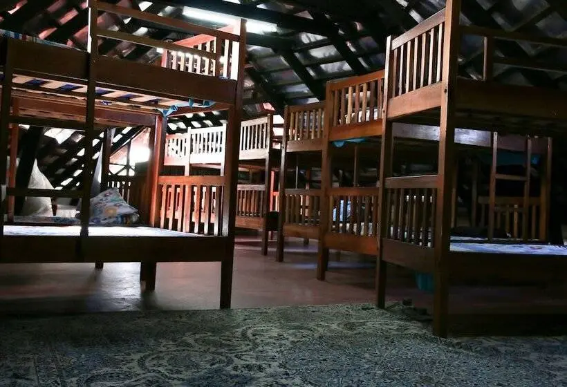 تختخواب در اتاق مشترک, Buddha S Tree Backpackers   Adults Only