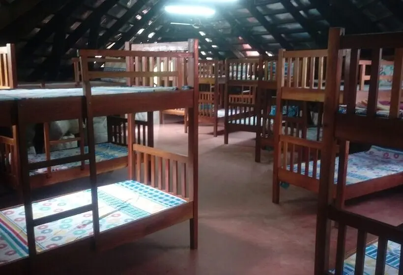 تختخواب در اتاق مشترک, Buddha S Tree Backpackers   Adults Only