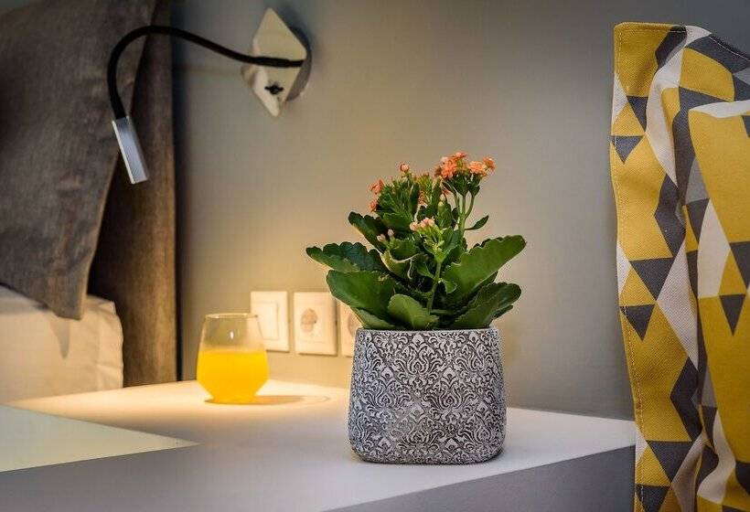 Appartement Confort 1 Chambre, Solar Apartments