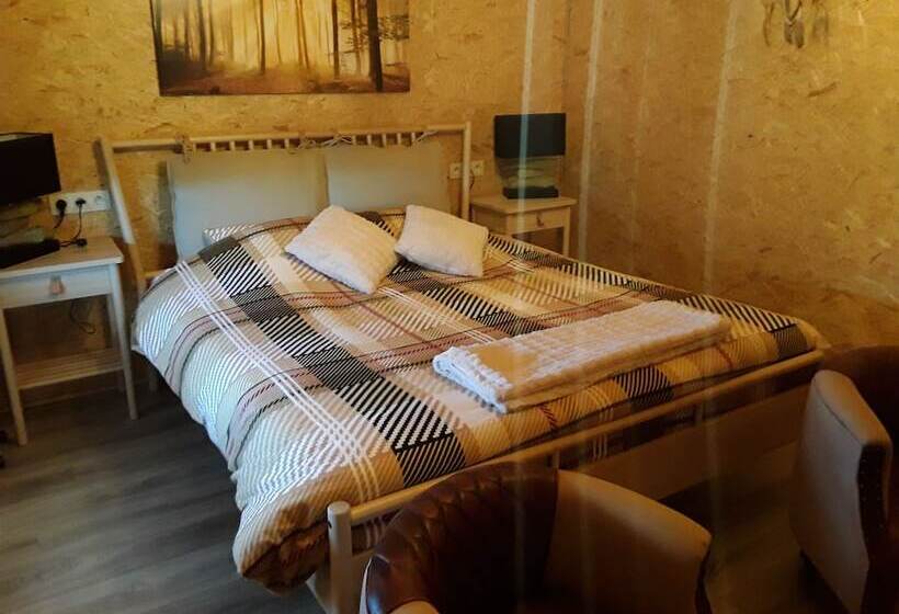 חדר סטנדרט, Lomalienne