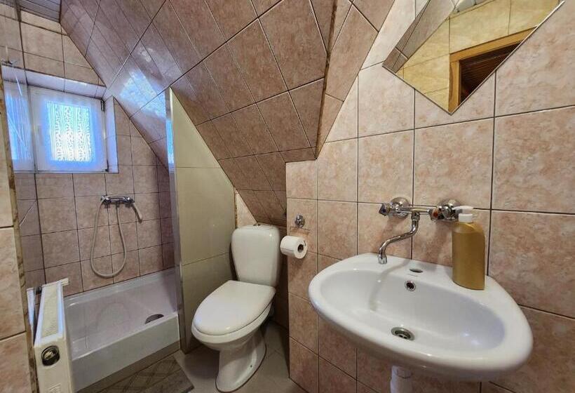 חדר סטנדרט יחיד, Willa U Renaty - Widok Na Giewont