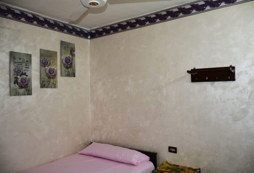 اتاق استاندارد یک تخته با سرویس بهداشتی مشترک, City Hostel