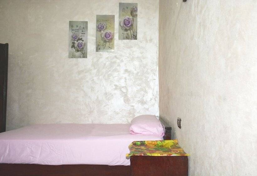 اتاق استاندارد یک تخته با سرویس بهداشتی مشترک, City Hostel