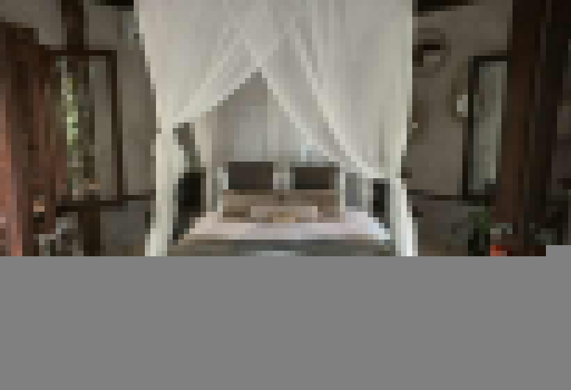 اتاق سوپریور با چشمانداز باغ, Delek Tulum