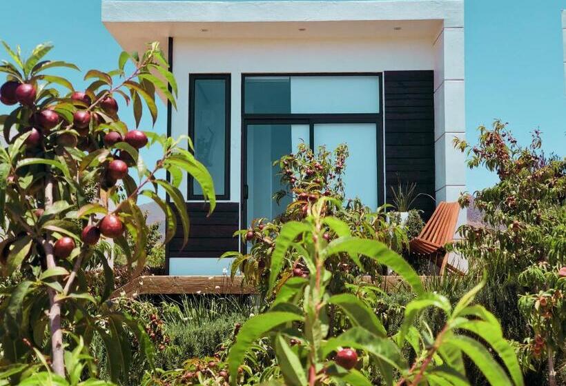 标准单人间, La Cima Del Valle