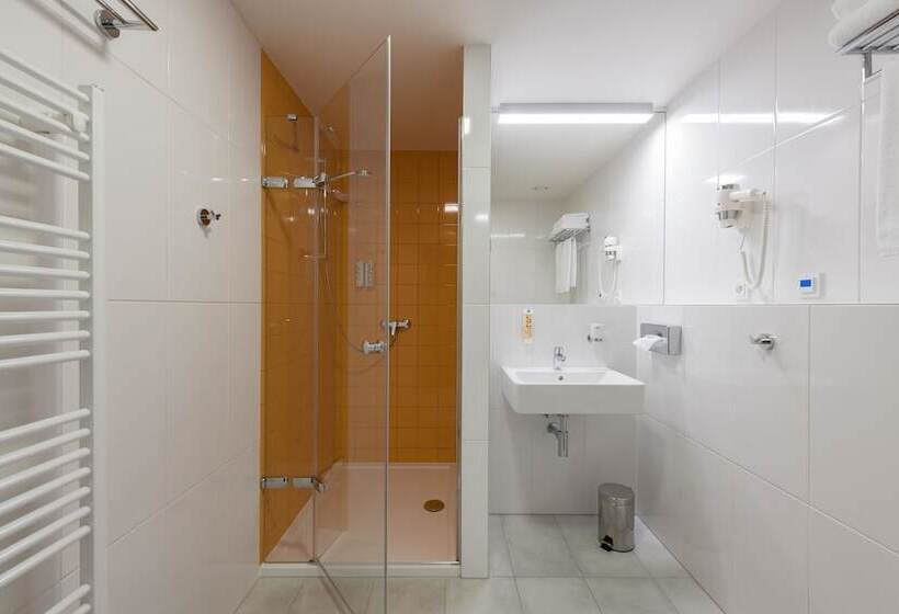 חדר סטנדרט, Panská Zahrada