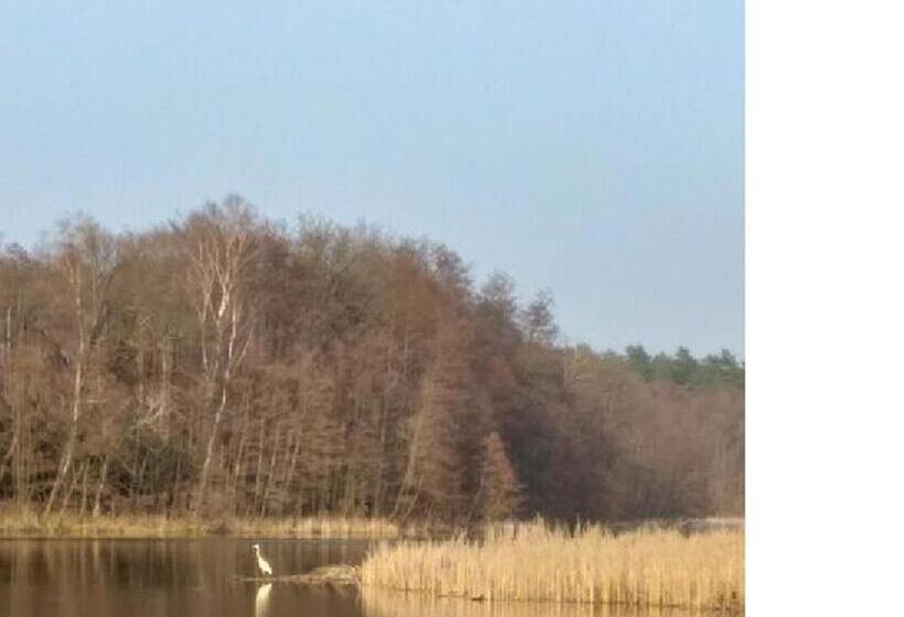 Номер Стандарт Трехместный, Pension & Gasthaus Kattenstieg