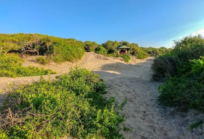 Deluxe Tent, Back Of Beyond Dune Camp Yala