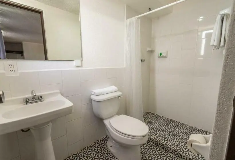 Economy Room, Delf Inn