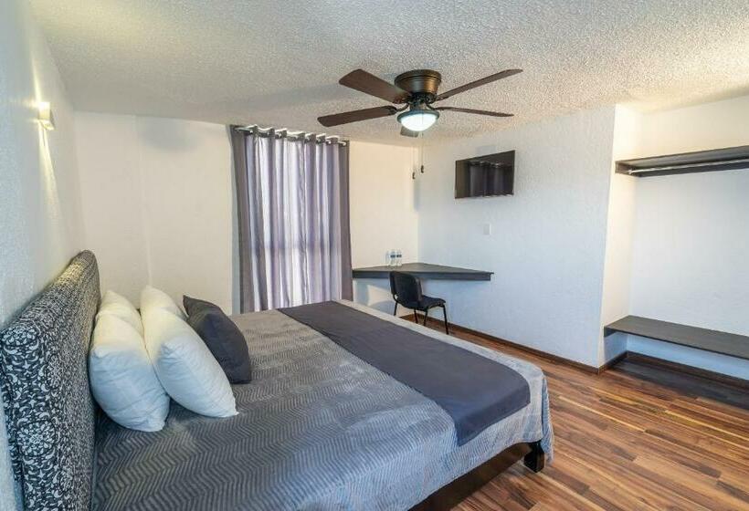 Quarto Triplo Economy, Delf Inn