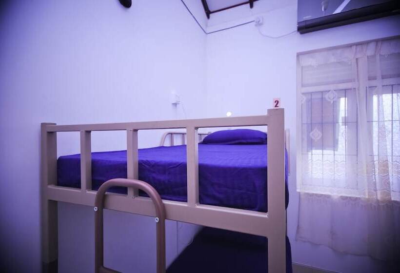 共用房间的床, Yoyo Hostel Negombo