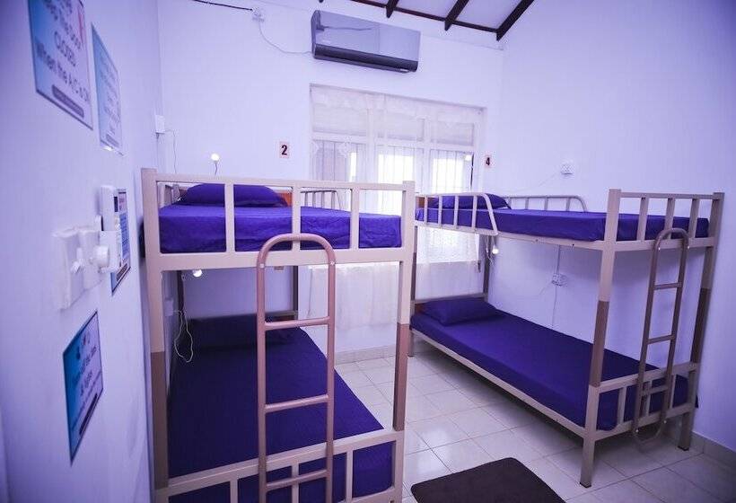 共用房间的床, Yoyo Hostel Negombo