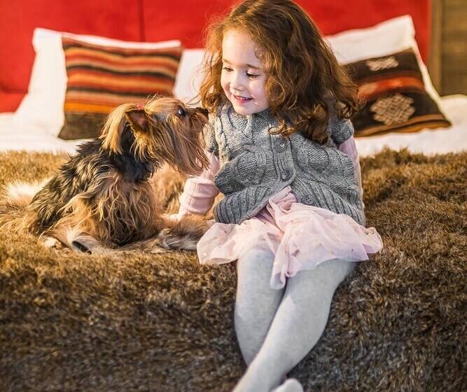 آپارتمان اجرایی 1 خوابه, Rezydencja Nova Na Gubałówce