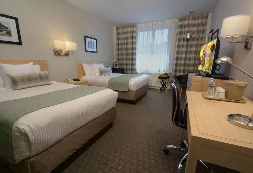 デラックスルーム, Adria Hotel And Conference Center
