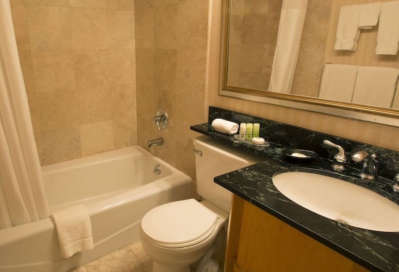 デラックスルーム, Adria Hotel And Conference Center