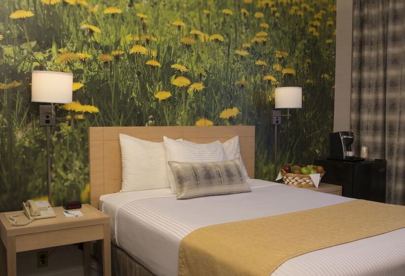 デラックスルーム, Adria Hotel And Conference Center