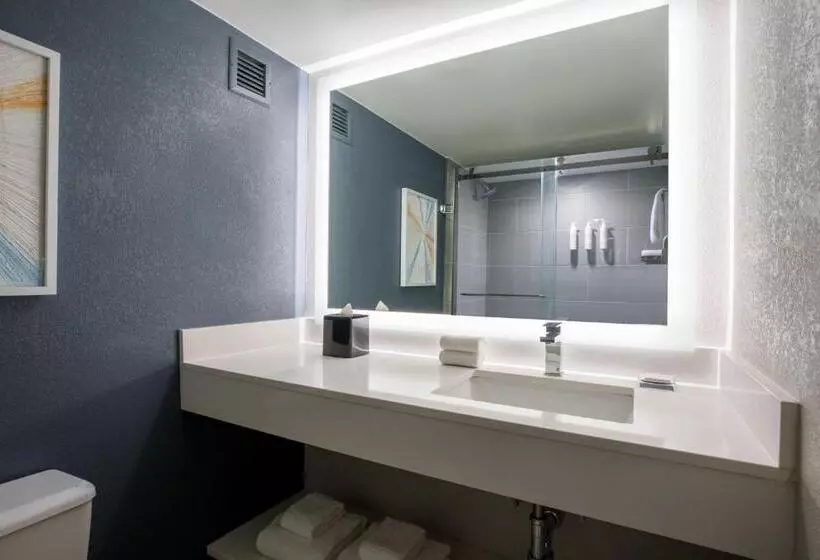 Standard-huone King-vuode, Marriott Columbia
