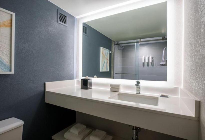 غرفة قياسية مطلة على المدينة, Marriott Columbia