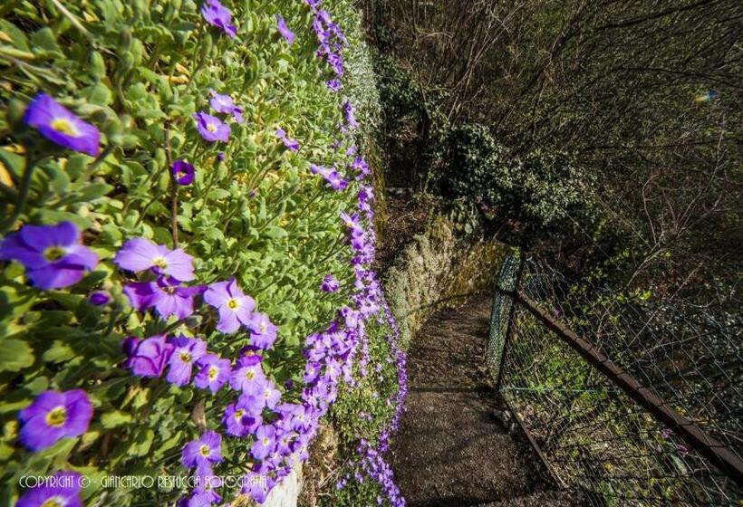 חדר בסיסי, B&b Il Balcone Sul Lago